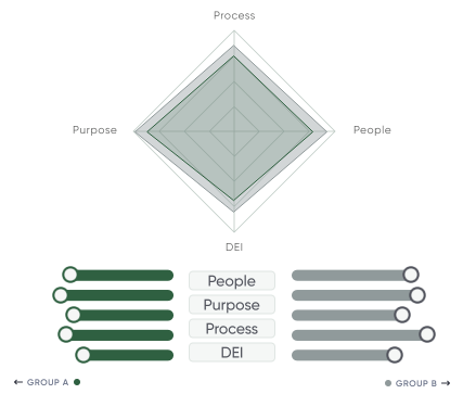 Organizational Culture Survey Spider Chart Organizational Culture Survey Spider Chart