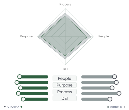 Organizational Culture Survey Spider Chart