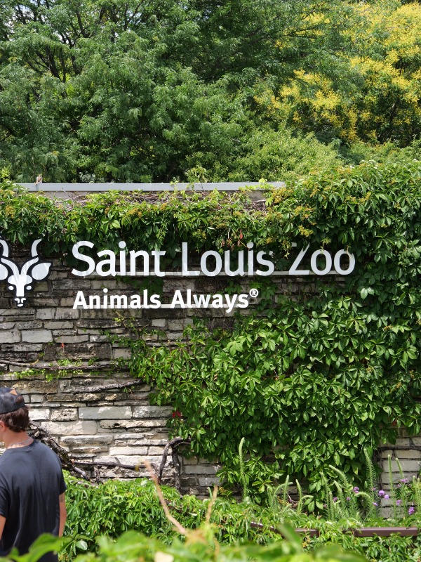 Saint Louis Zoo